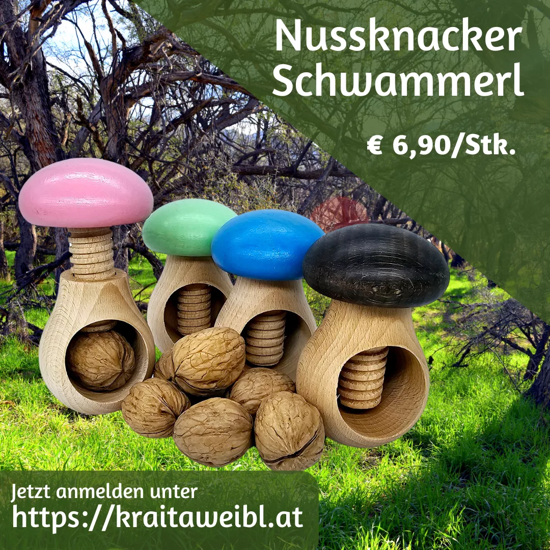 Nussknacker Schwammerl